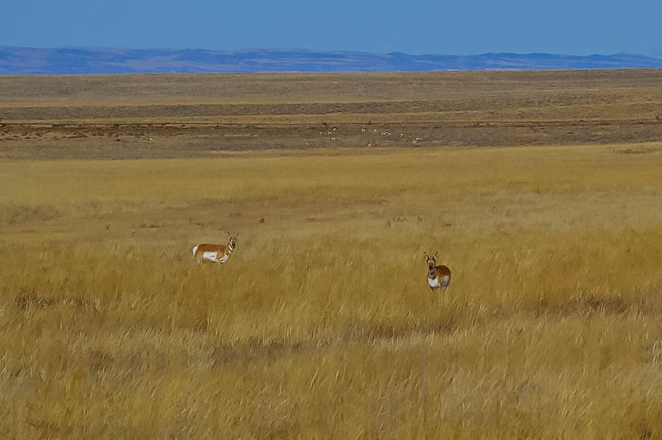 7 Reasons We Love to Talk about&nbsp;God