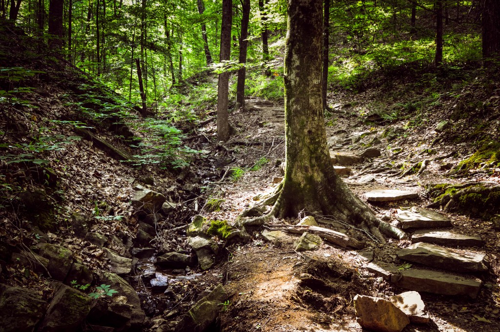 Rest from Your&nbsp;Labor