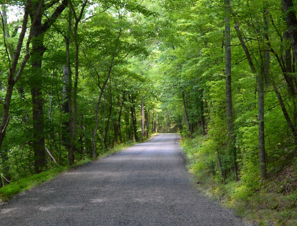 In God We&nbsp;Trust