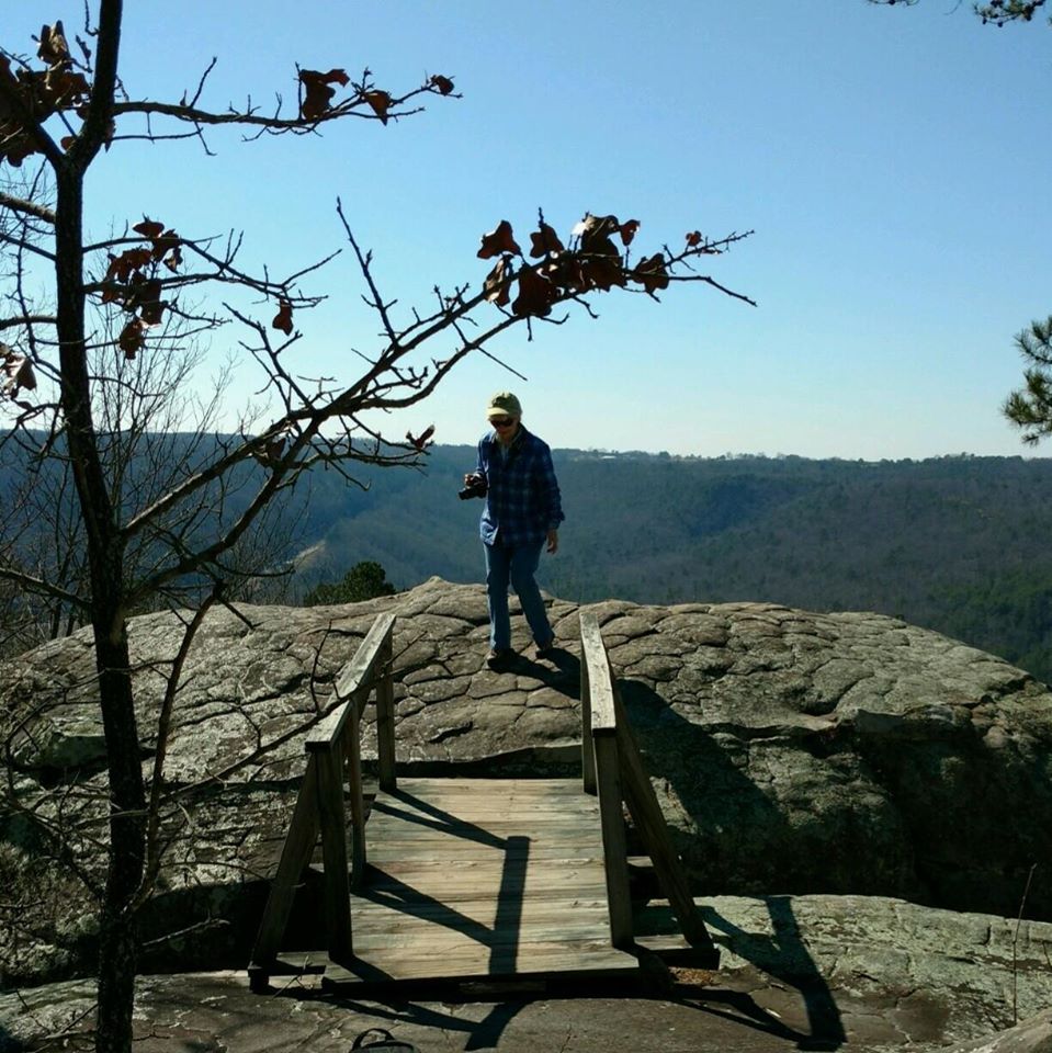 At the top of Horse Pens 40