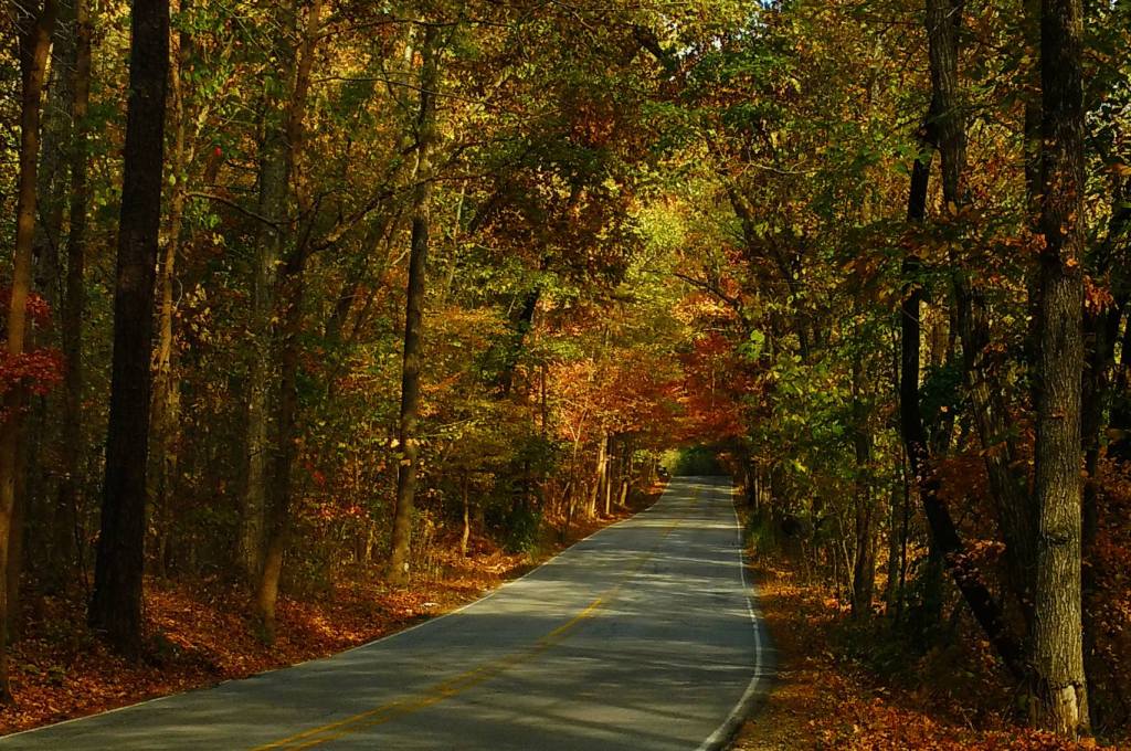 Happy is the&nbsp;Nation