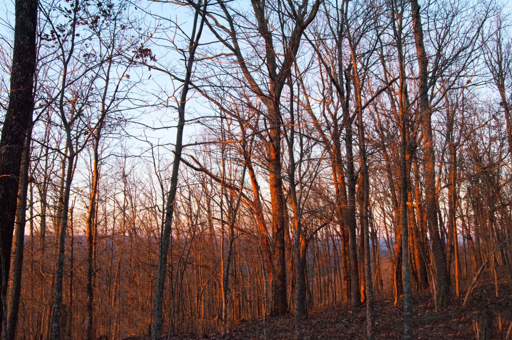 What to Fear in the Coming&nbsp;Election