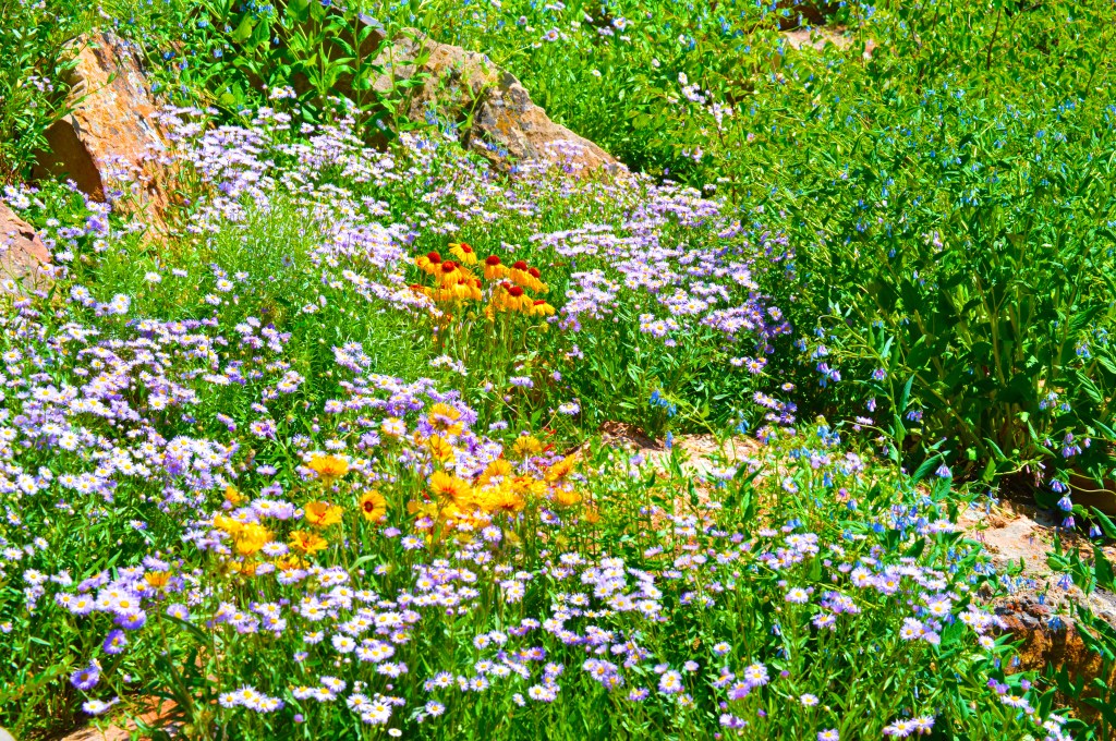 A Sure Formula for A Victorious&nbsp;Day