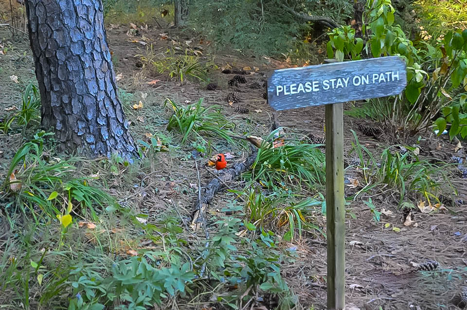 Please Stay on the&nbsp;Path