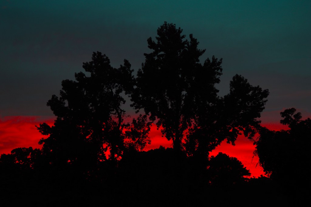 4 Certainties of&nbsp;Fear