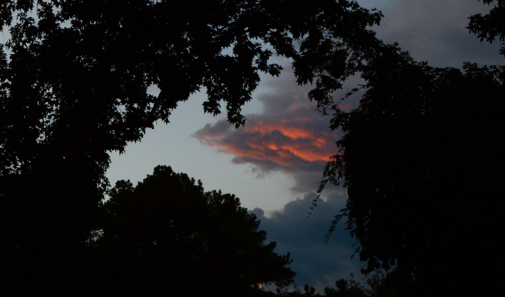 He Sees All&nbsp;Humankind