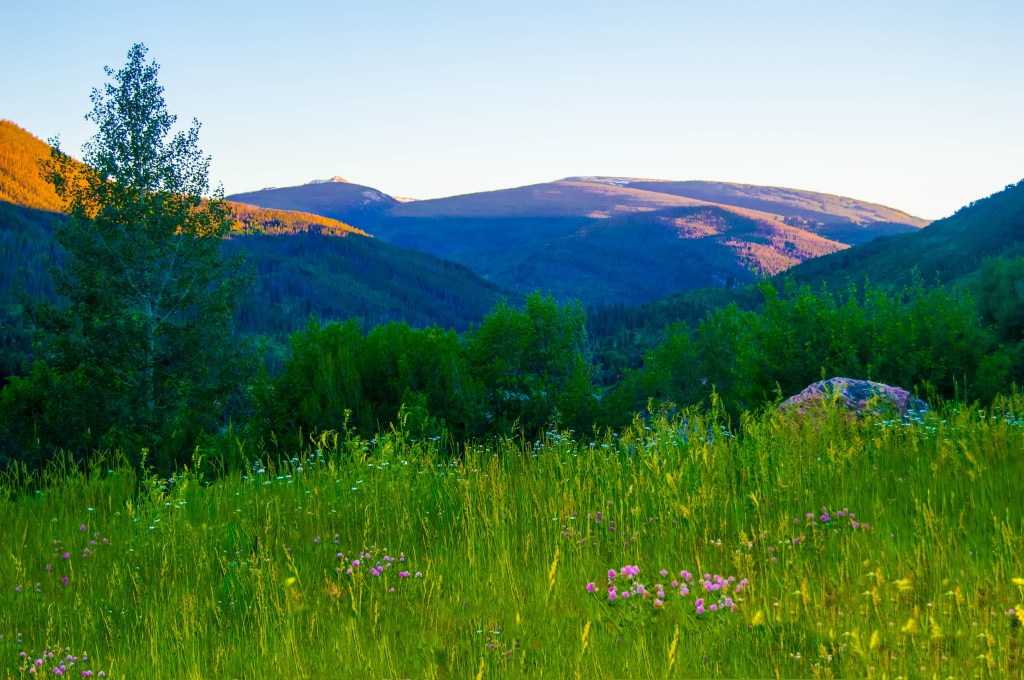 Praise Befits the&nbsp;Upright